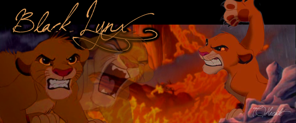 Signature pour Black lynx