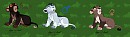 Adoptables 2