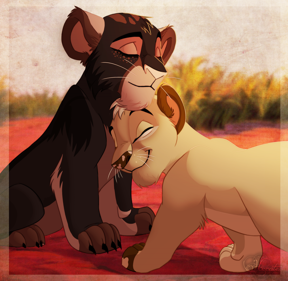 Boy's love