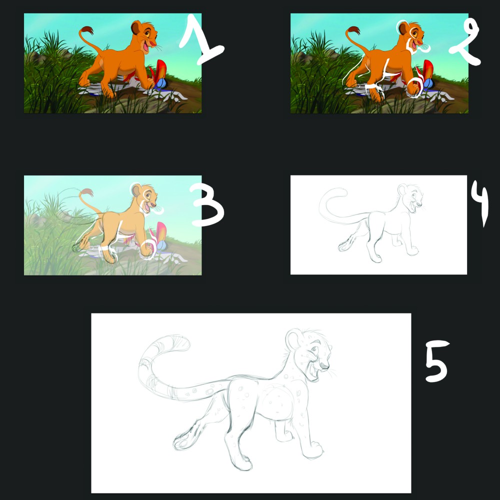 Guépard tutoriel