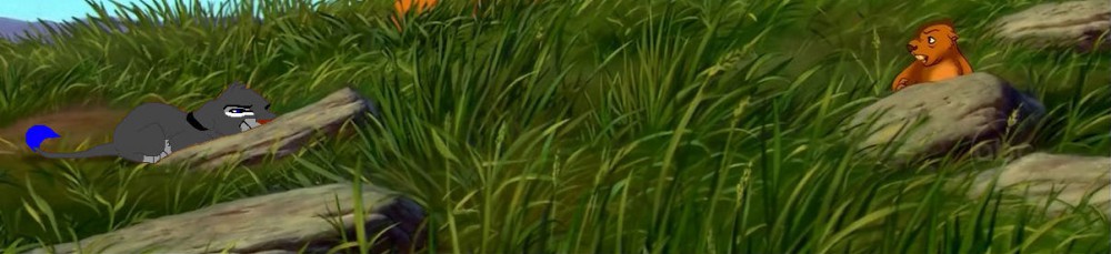 Stalking