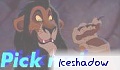 iceshadow