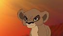 Cub Harasa!