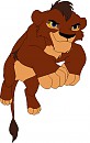 Cub Hasan!