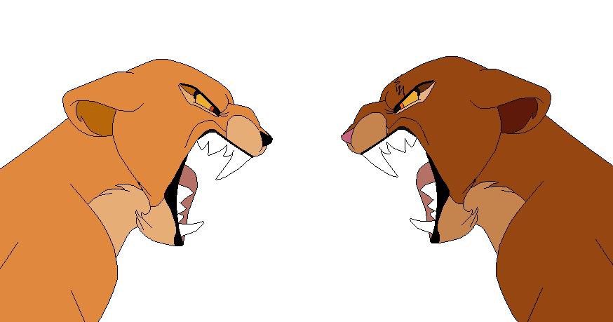 The fight.