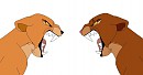 The fight.