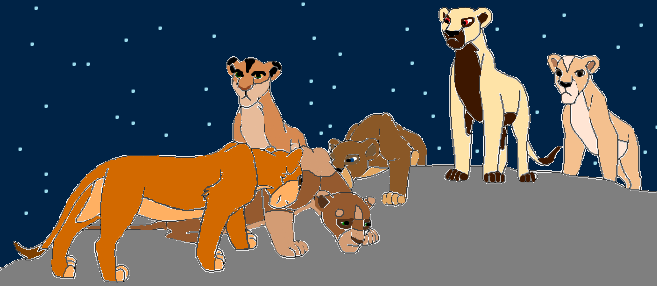 My pride lionesses
