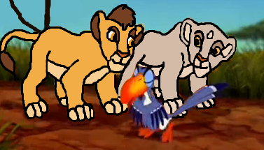 Zinc and Conga, out and about
