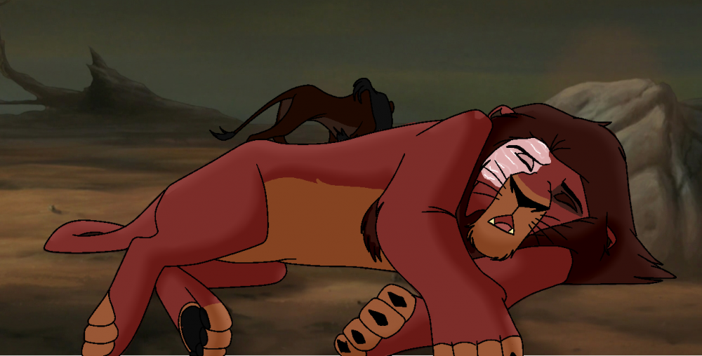 Kovu's 