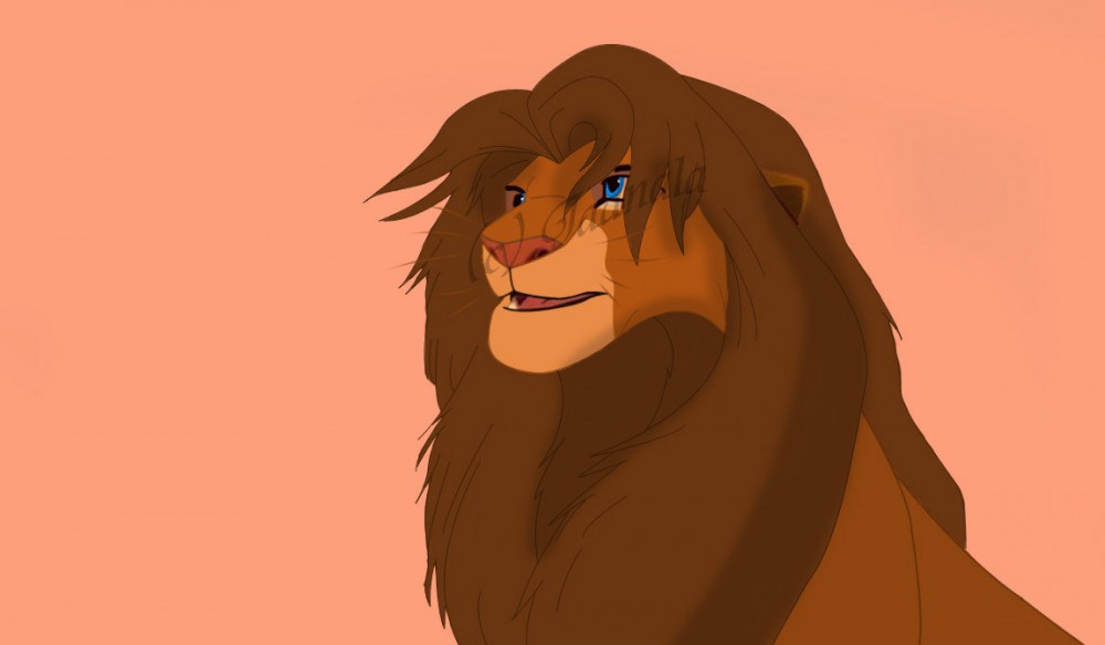 Kopa