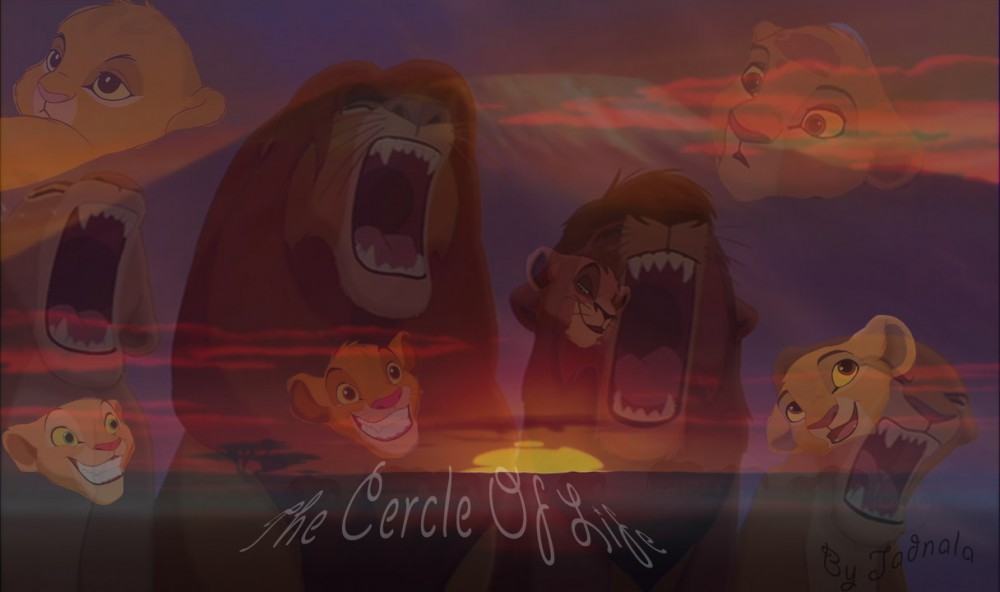 The cercle of life