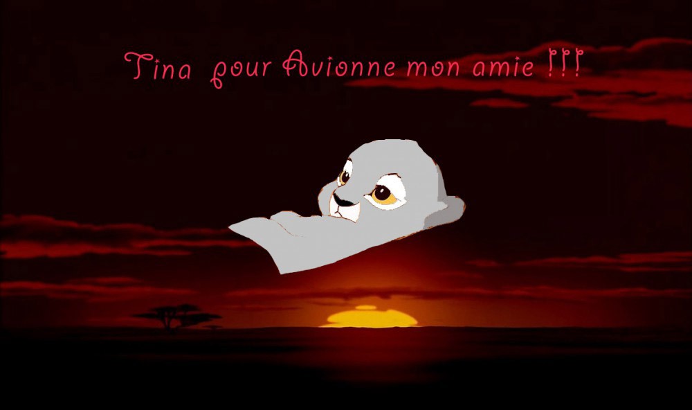 Cadeau pour Avionne