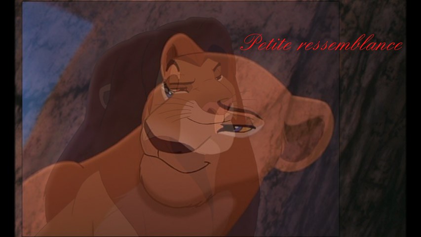 Ressemblance des amoureux