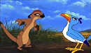Timon & Zazu's Argument XD