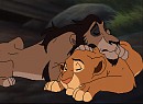 Comfort