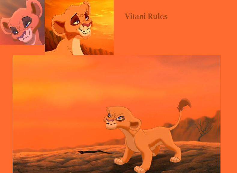 Vitani RULES