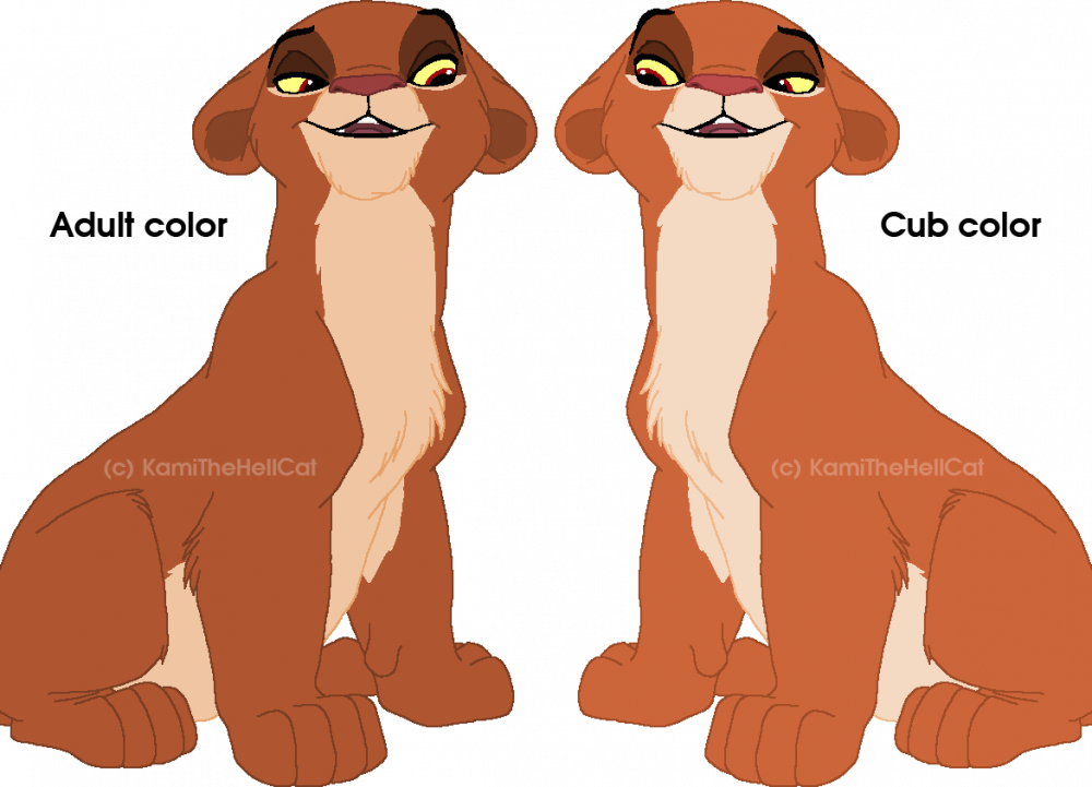 Diata Colors Comparison 