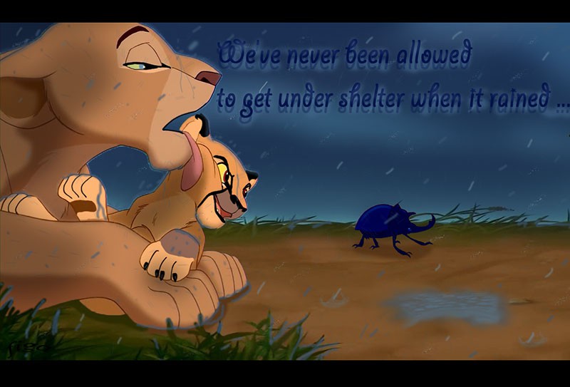 Under the rain