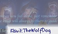 KävikTheWolfDog