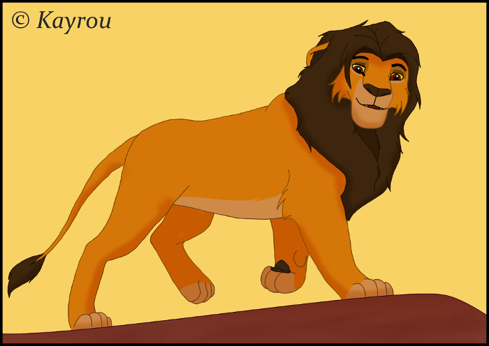 My Kopa's Version