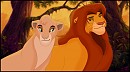 Tama et Simba - Concours