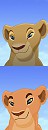 Nala colorings