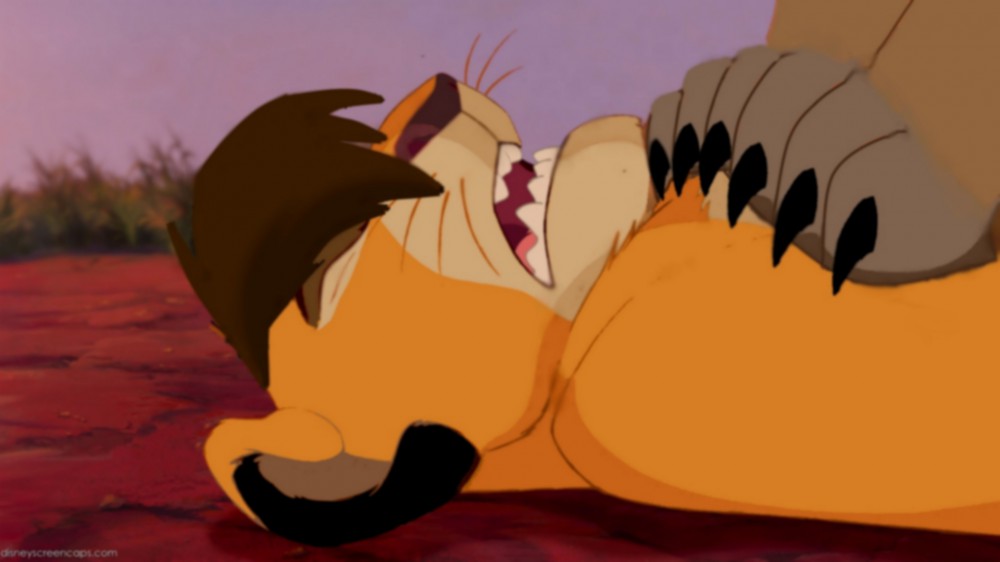 kopa et zira