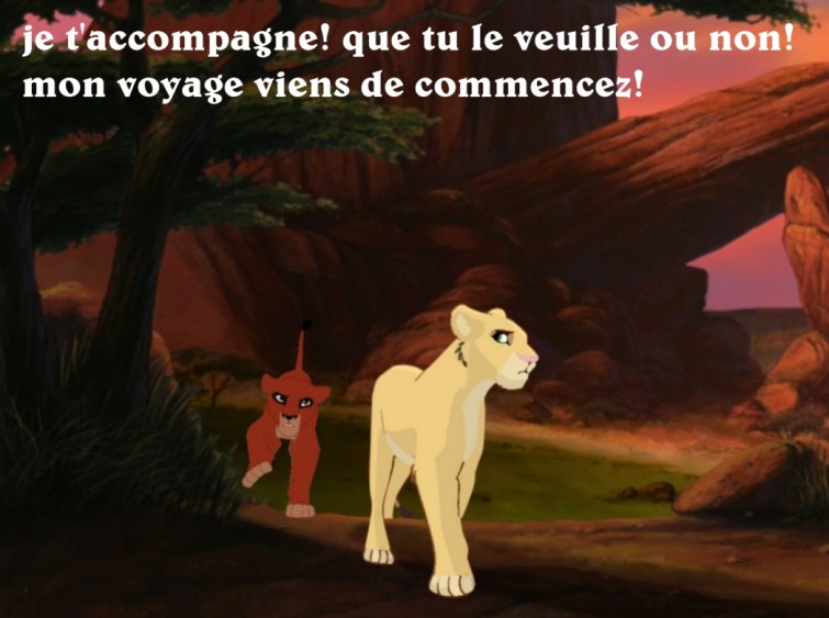 Je t'accompagne!