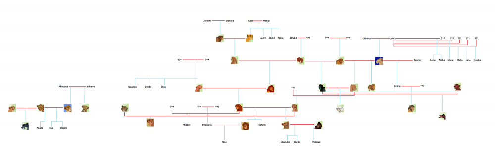 The ultimate family tree