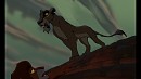 c'est la fin simba!