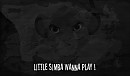 Little Simba wanna play !