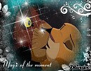 Magic of the moment