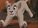 Kipenda as a cub