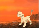 Zinally my new character