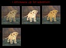 Lionesses up for adoption *closed*