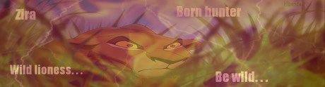 ::: Zira wild lioness::: free sig