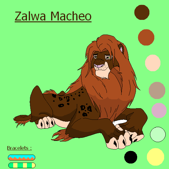 Zalwa Macheo's reff sheet