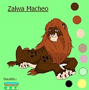 Zalwa Macheo's reff sheet