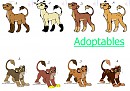 Adoptions *closed*