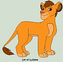 Kopa Teen/Adult