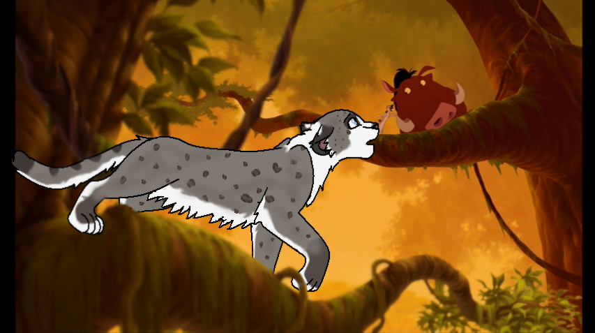 Ren the snow leopard