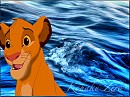 WOW WATER!