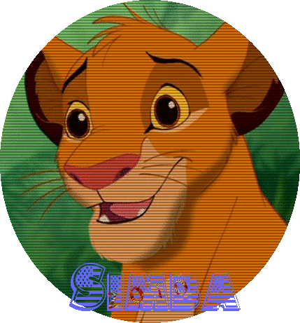 Simba 2010 Avie