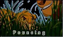 Pouncing