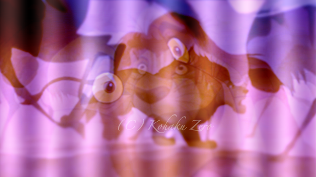 Mufasa : Where are you?