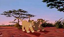 Safu and Dimond