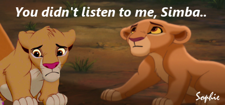 You didn't listen to me, Simba!