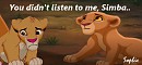 You didn't listen to me, Simba!