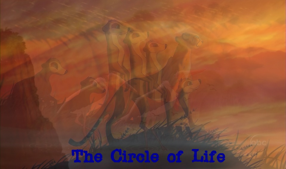 The Circle of Life