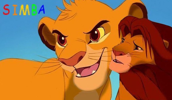 Signature de Simba 